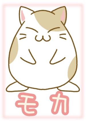 モカ