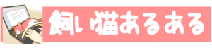 飼い猫あるある