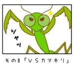その8「ＶＳカマキリ」