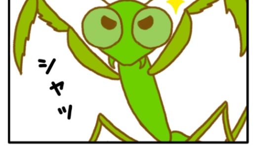 その8「ＶＳカマキリ」