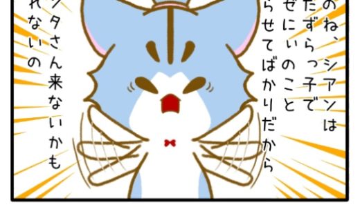 その10-2「サンタさんはやってくる？②」