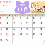 2020年11月カレンダー