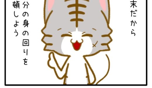 その11「年末大そうじ」