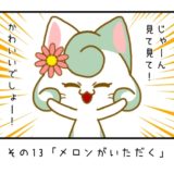 その13「メロンがいただく」