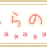 ねこばしらの部屋