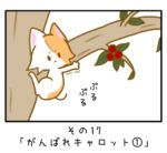 その17「がんばれキャロット①」