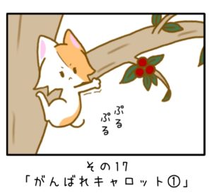 その17「がんばれキャロット①」