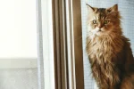 作成例1写真